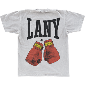 Love At First Fight T-Shirt